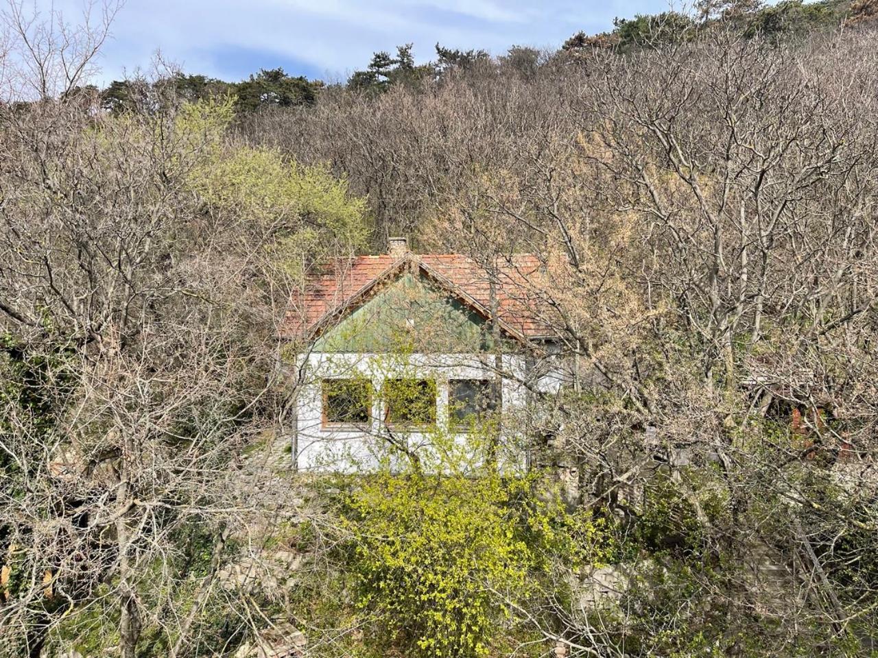 Rustic Cottage & Garden Retreat On Buda Hilltop Budapeste Exterior foto